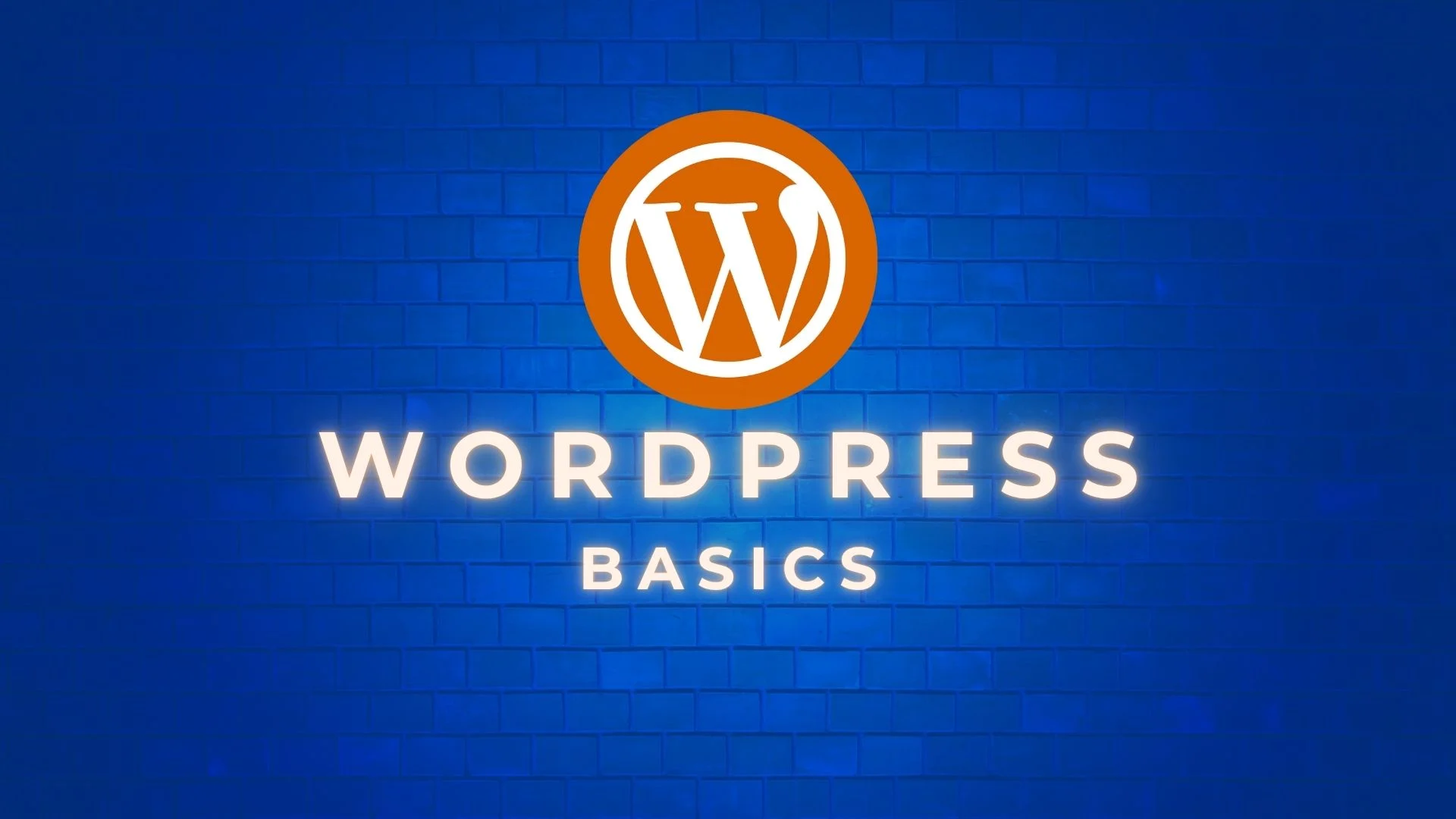 WordPress Basics NicuLucanu
