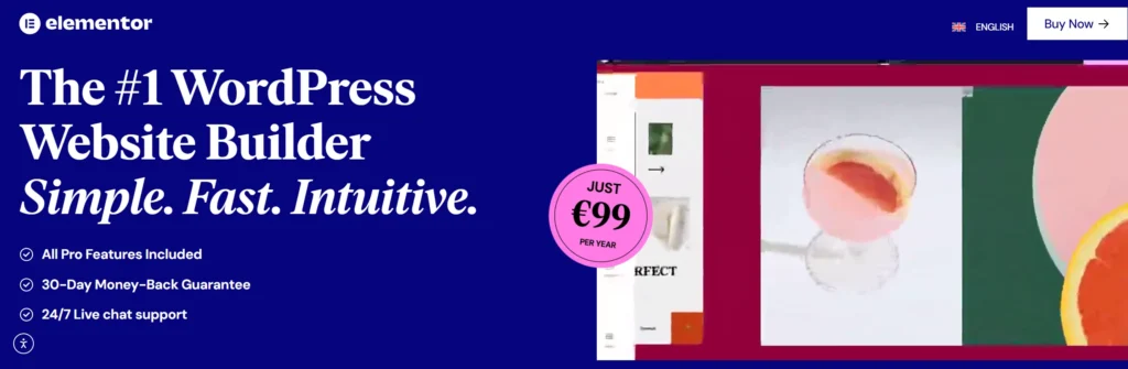 elementor review Pro